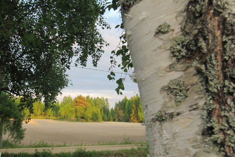 Kesäpäivän viikkomessu Kesäpäivän viikkomessu