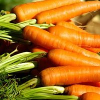 Tasauspäivän porkkanamarkkinat Tasauspäivän porkkanamarkkinat