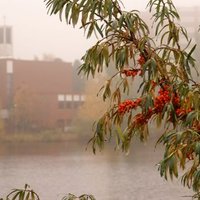 Kutsu yhteyteen -messu Kutsu yhteyteen -messu