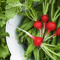 Messu ja sadonkorjuun kiitosjuhla Messu ja sadonkorjuun kiitosjuhla