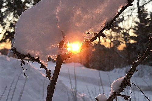 aurinkoinen lumikuva