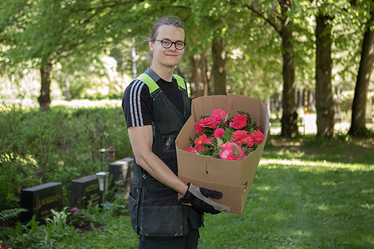 Hautausmaalla työntekijä sylissään laatikollinen punaisia kukkia.