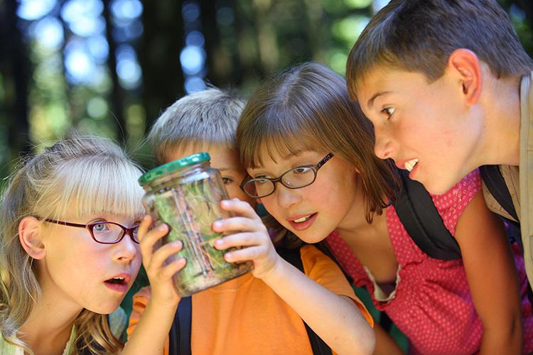 Lapset tutkivat lasipurkki, jossa on heiniä ja ötököitä.