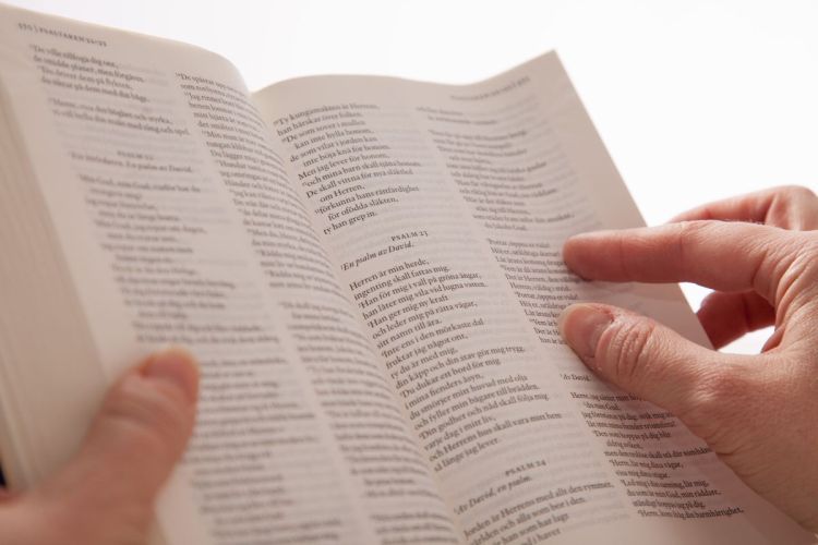 Elämän eväitä Raamatusta: Uusi testamentti Elämän eväitä Raamatusta: Uusi testamentti