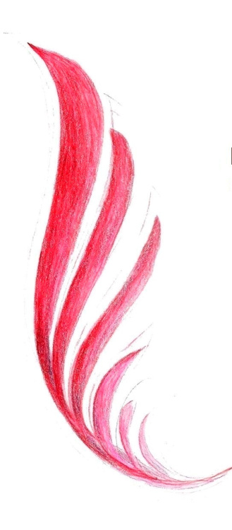 Kutsu yhteyteen -ryhmän logo punainen sulka.