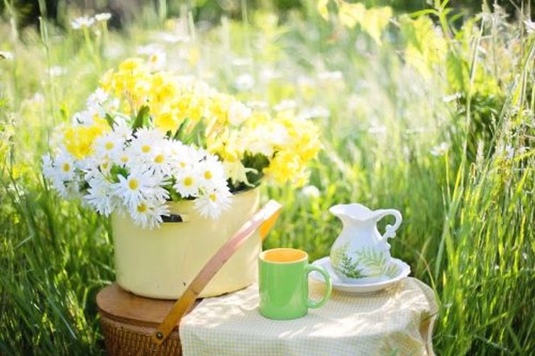 Kesäisiä kukkia keltaisessa kattilassa, joka on pöydällä kahvimukin ja kermakon kanssa. Ympärillä ruohoa.