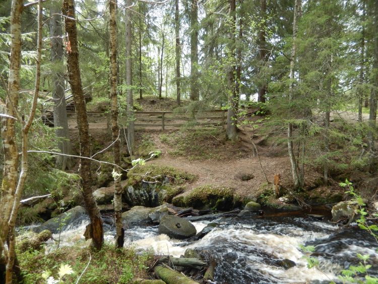 Korkeakoski Tuovilanladessa, myllymkivi koskessa ja luontoa ympärillä. 