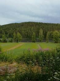 Maisema Hiltulanlahdesta