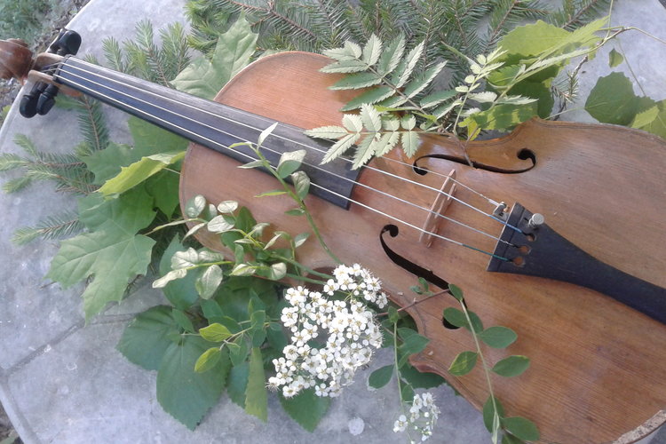 Kesäinen musiikkituokio. Metsäviulun soidessa Kesäinen musiikkituokio. Metsäviulun soidessa