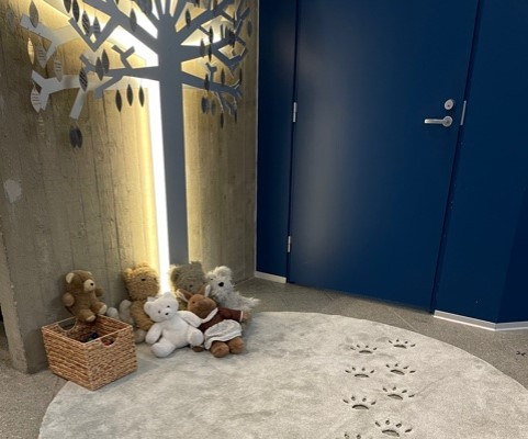 1. adventtisunnuntain perhemessu Alavan kirkon kastepuu, jonka edessä lattialla monta pehmolelua.