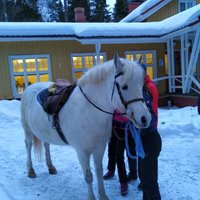 Perheiden laskiaistapahtuma Poukamassa