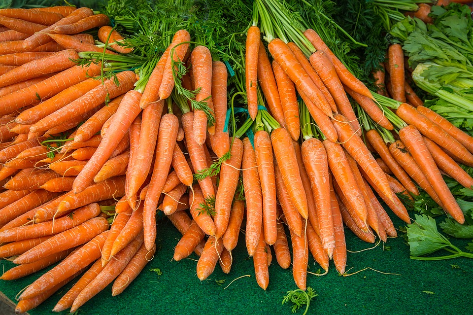 Porkkanoita nipussa