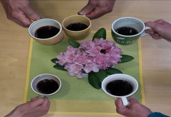 Viisi kahvimukia keltareunaisella vihreällä liinalla, jonka keskellä vaaleanpunainen kukka ja kädet pitää kiinni mukia.