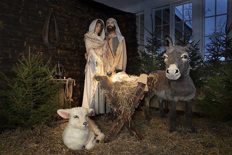 Jeesus lapsi seimessä.