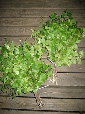 Miesten Sauna ja Sananilta kaksi vihreää saunavihtaa