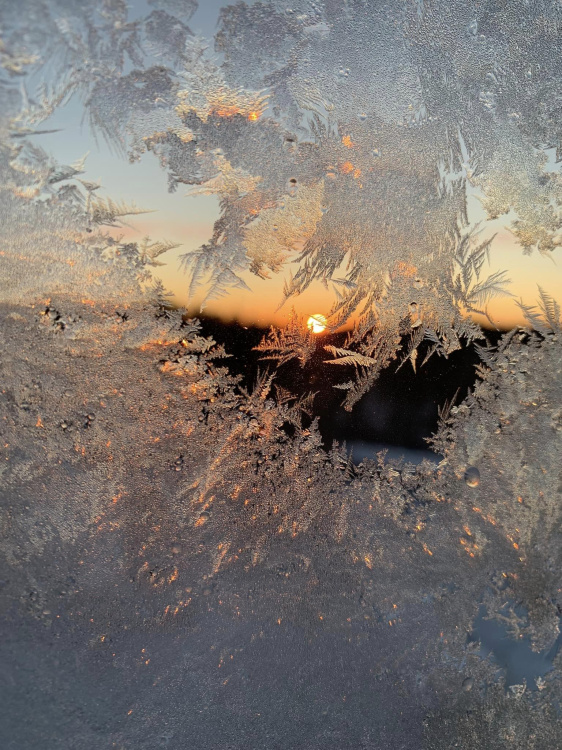 Jääkukkia ikkunassa