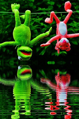 Kaksi pehmoa, sammakko ja vaaleanpunainen pantteri roikkuvat päät alaspäin narulla