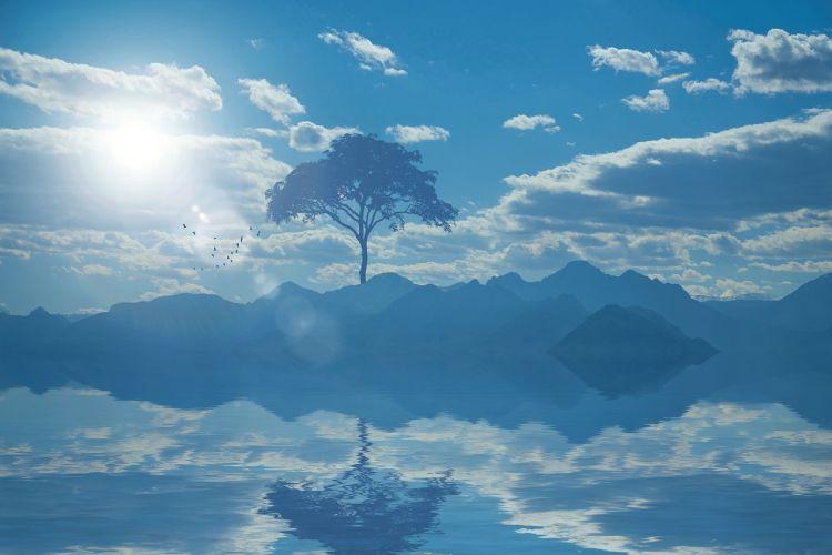Yksinäinen puu heijastuu veteen. Taivaalla aurinko on pilven takana.