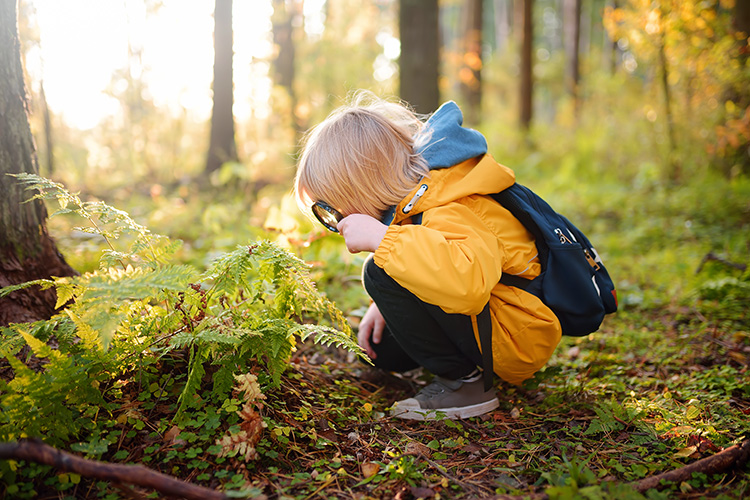 Lapsi tutkii metsän kasvillisuutta suurennuslasilla.