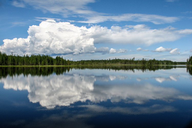 Kesäinen järvimaisema